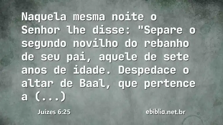 Juízes 6:25