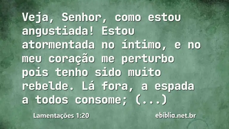 Lamentações 1:20