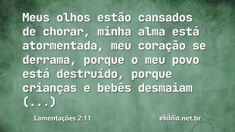 Lamentações 2:11