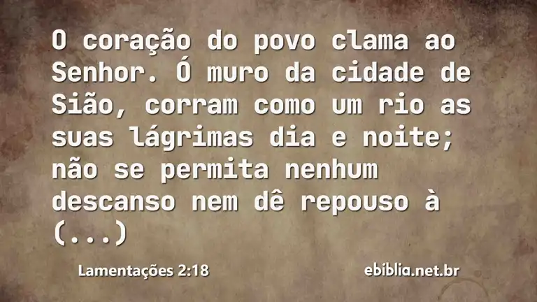 Lamentações 2:18