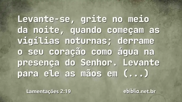 Lamentações 2:19