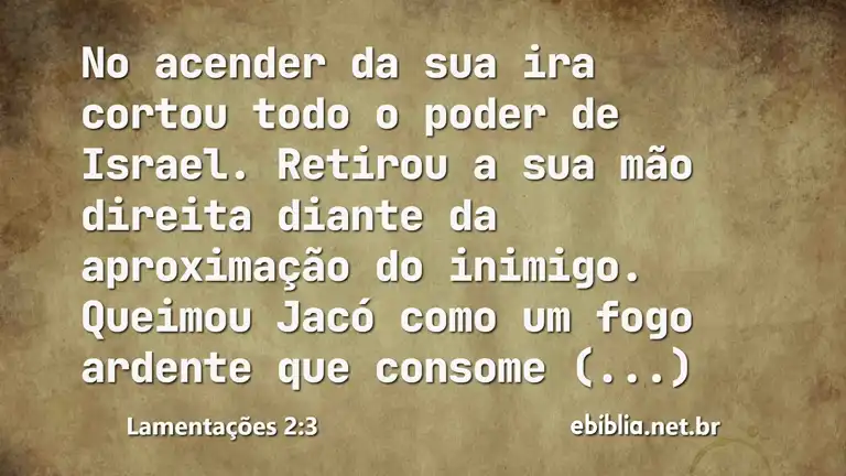 Lamentações 2:3