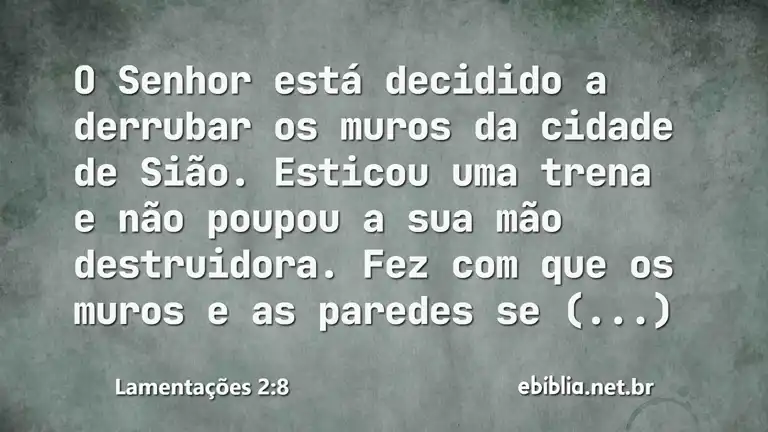 Lamentações 2:8