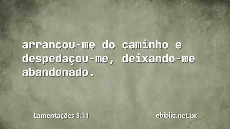 Lamentações 3:11