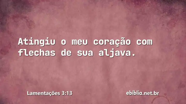 Lamentações 3:13