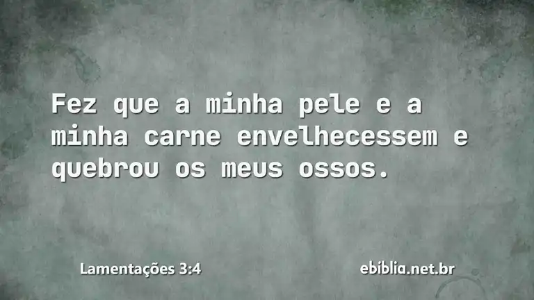 Lamentações 3:4