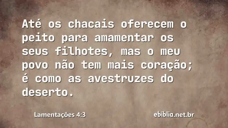 Lamentações 4:3