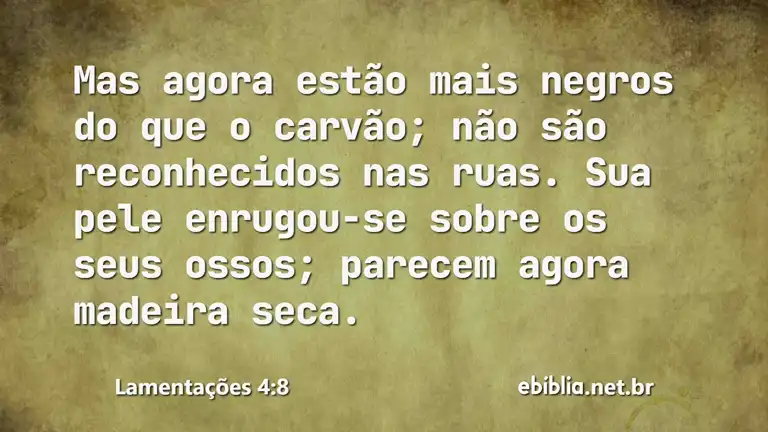 Lamentações 4:8