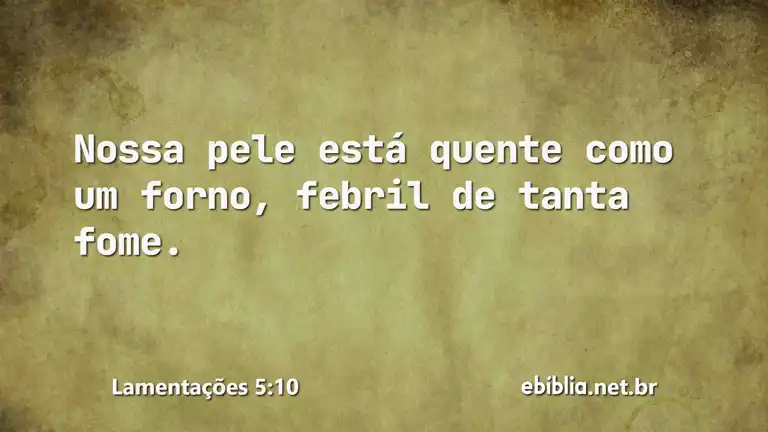 Lamentações 5:10