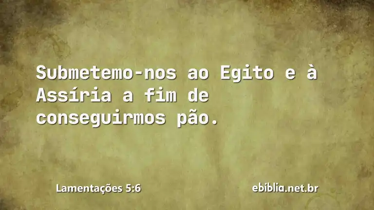 Lamentações 5:6