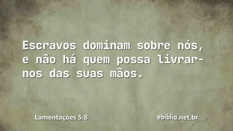 Lamentações 5:8