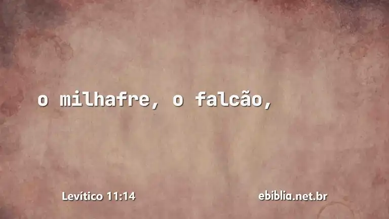 Levítico 11:14