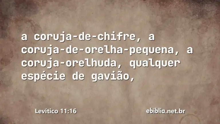 Levítico 11:16