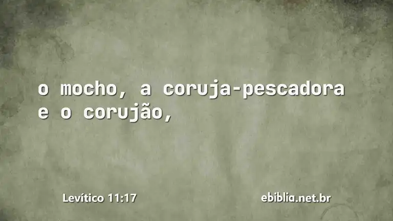 Levítico 11:17