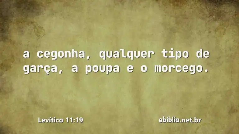 Levítico 11:19