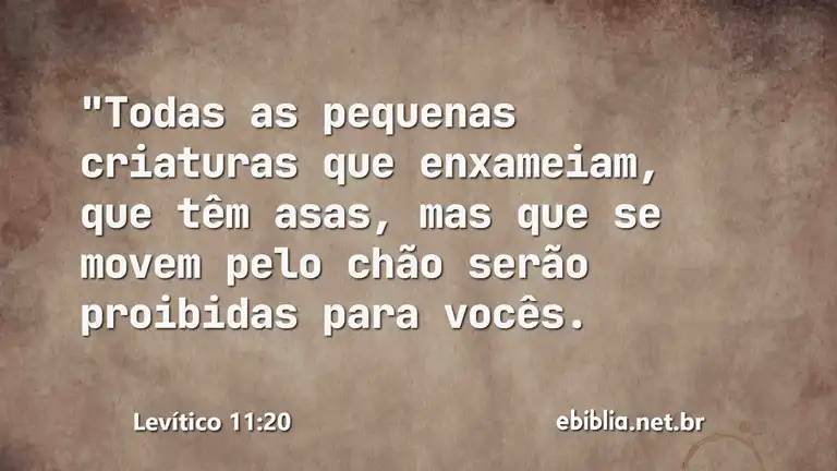 Levítico 11:20