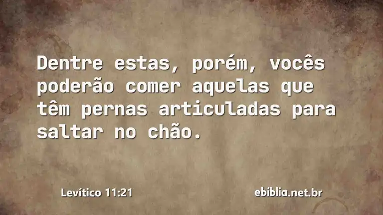 Levítico 11:21