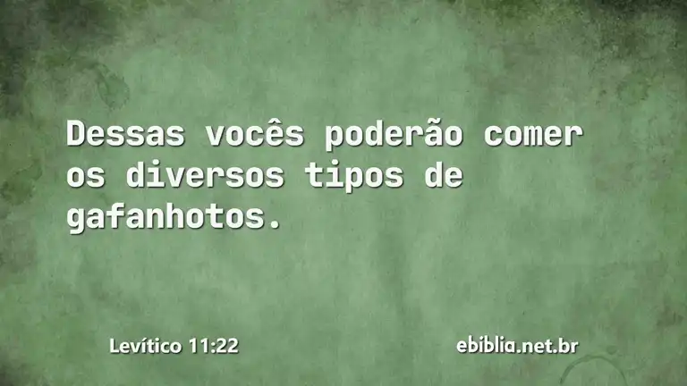 Levítico 11:22