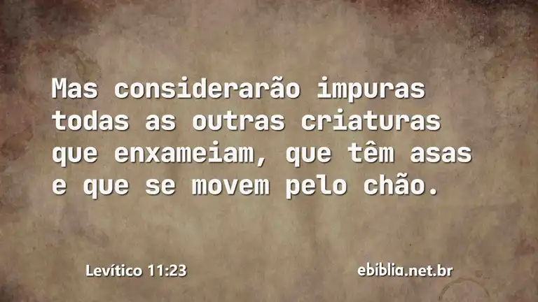 Levítico 11:23