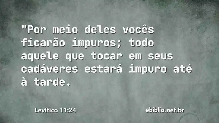 Levítico 11:24