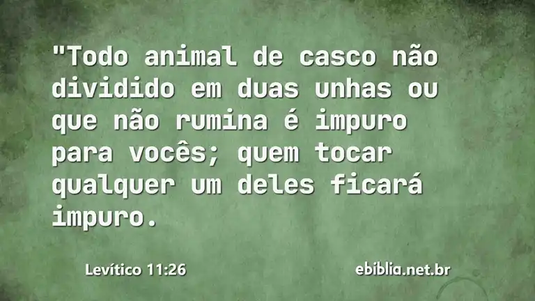 Levítico 11:26