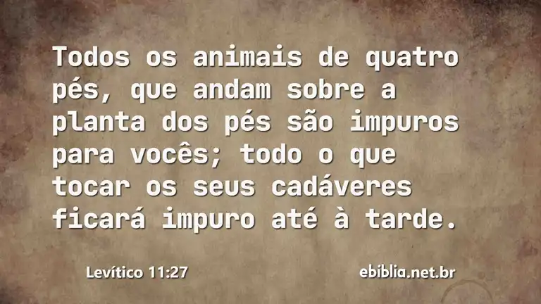 Levítico 11:27