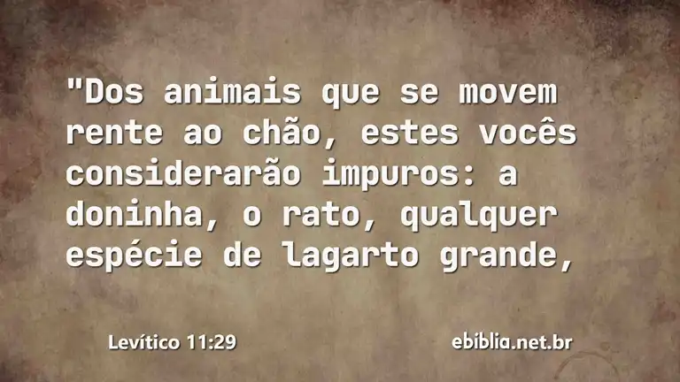 Levítico 11:29