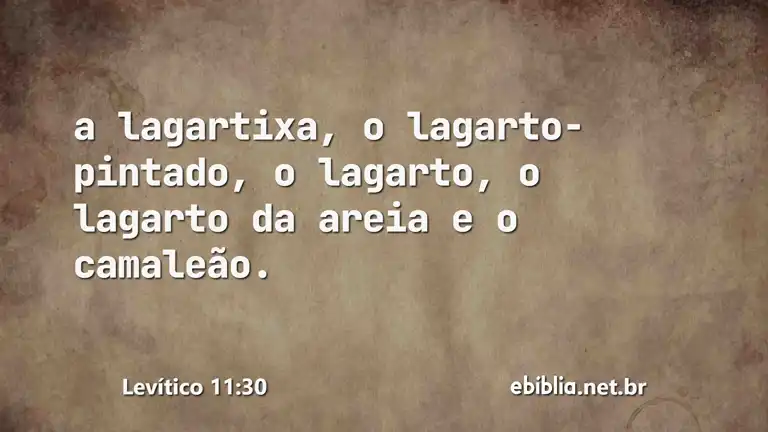 Levítico 11:30