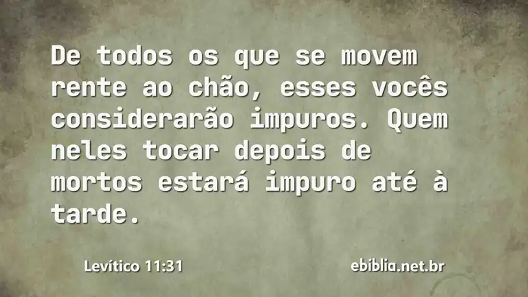 Levítico 11:31