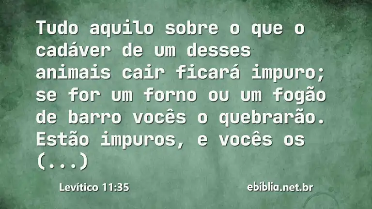 Levítico 11:35