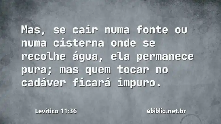 Levítico 11:36