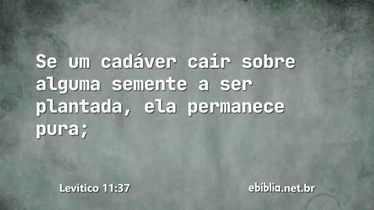 Levítico 11:37