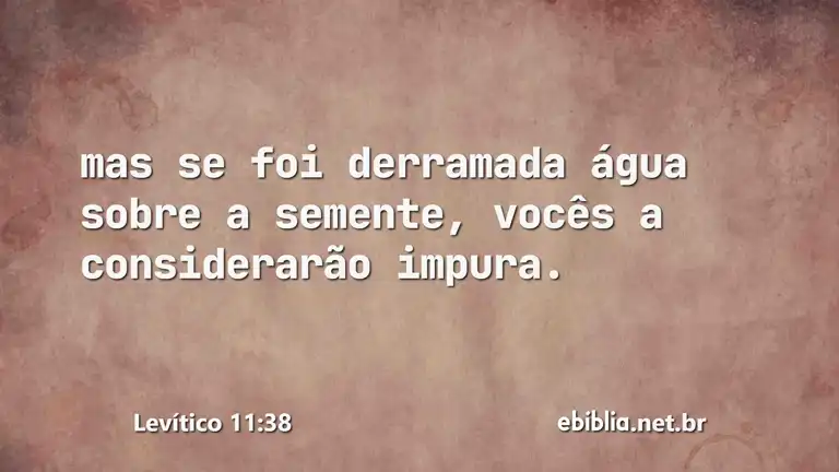 Levítico 11:38