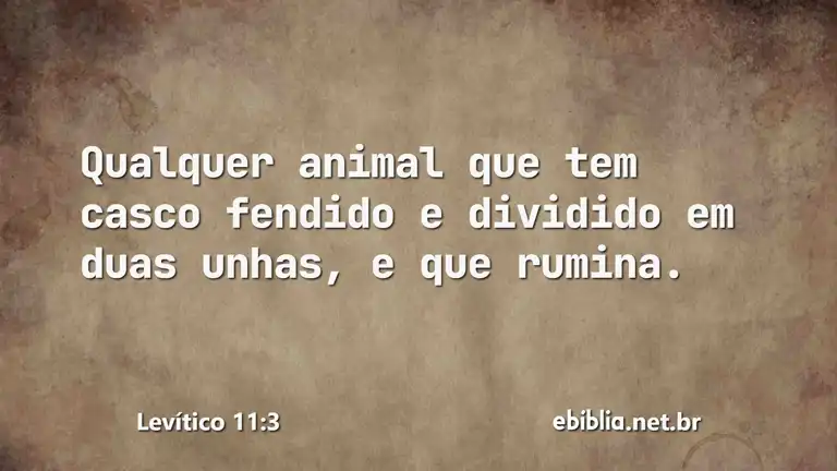 Levítico 11:3