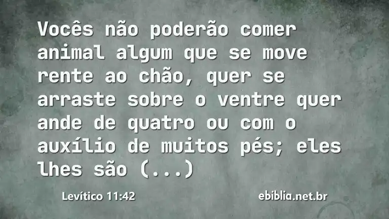 Levítico 11:42