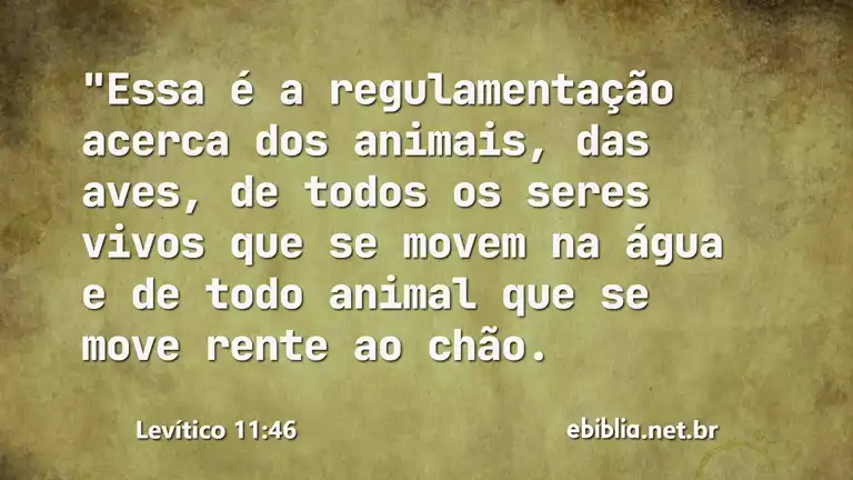 Levítico 11:46