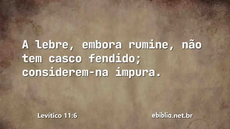 Levítico 11:6