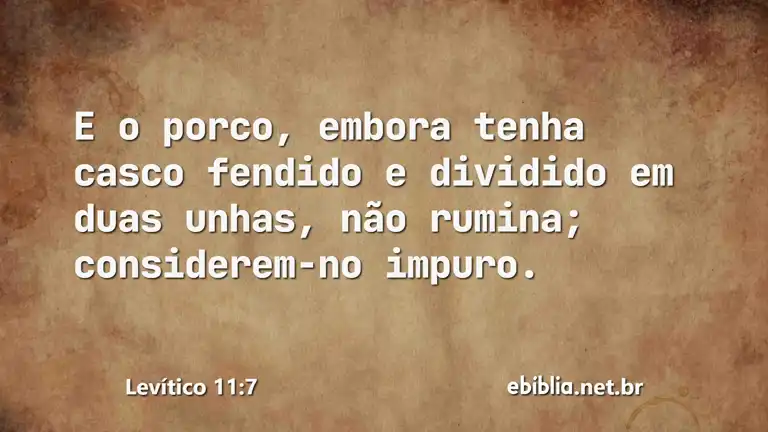 Levítico 11:7