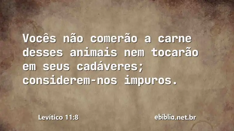 Levítico 11:8