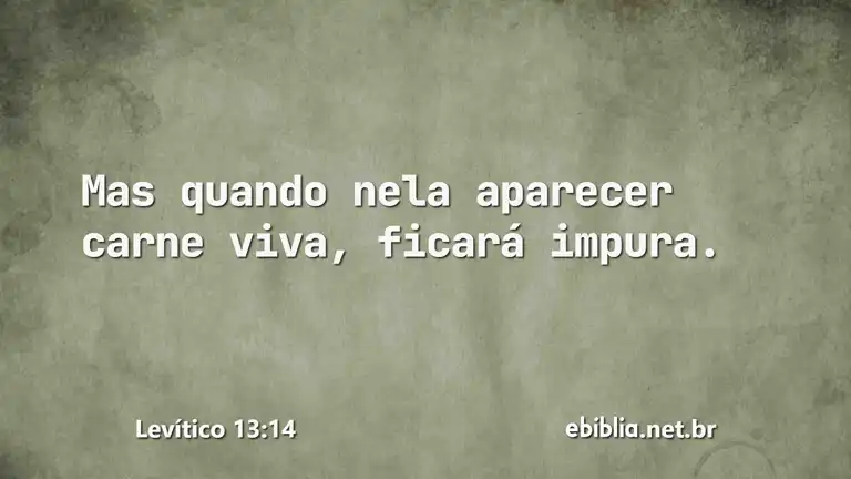 Levítico 13:14