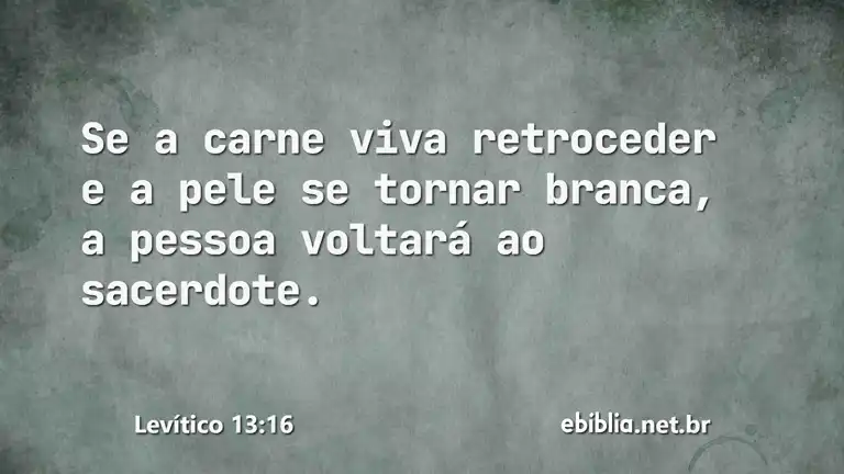 Levítico 13:16