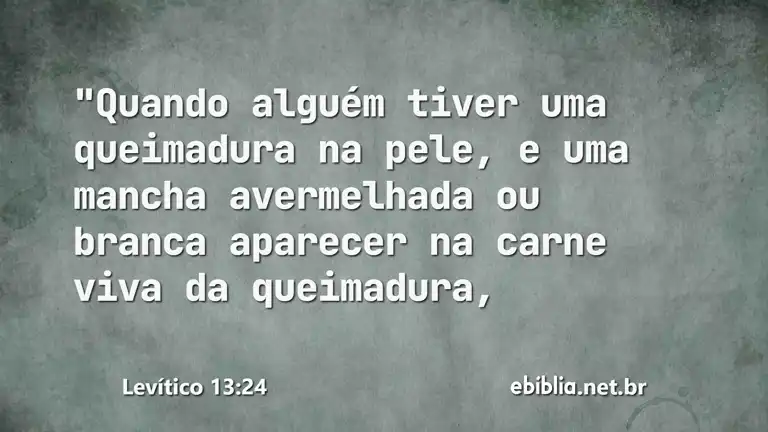 Levítico 13:24