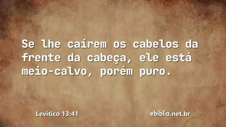 Levítico 13:41