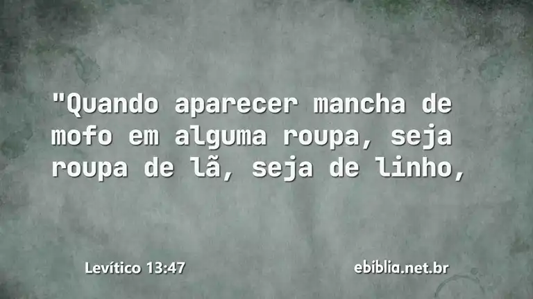 Levítico 13:47