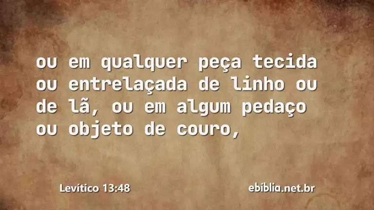 Levítico 13:48