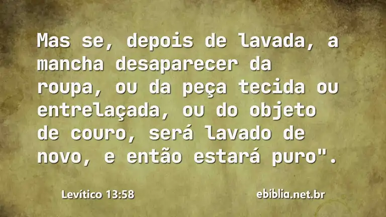 Levítico 13:58