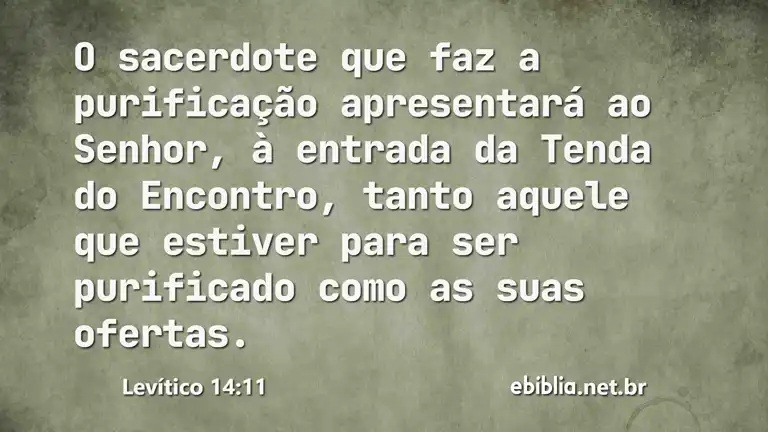 Levítico 14:11