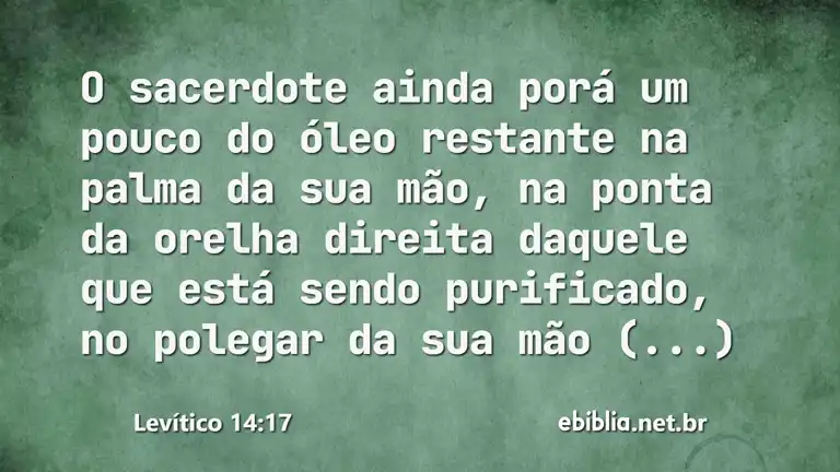 Levítico 14:17