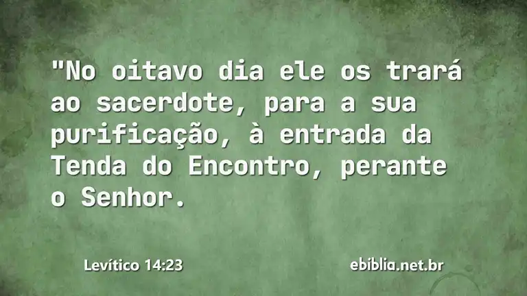 Levítico 14:23