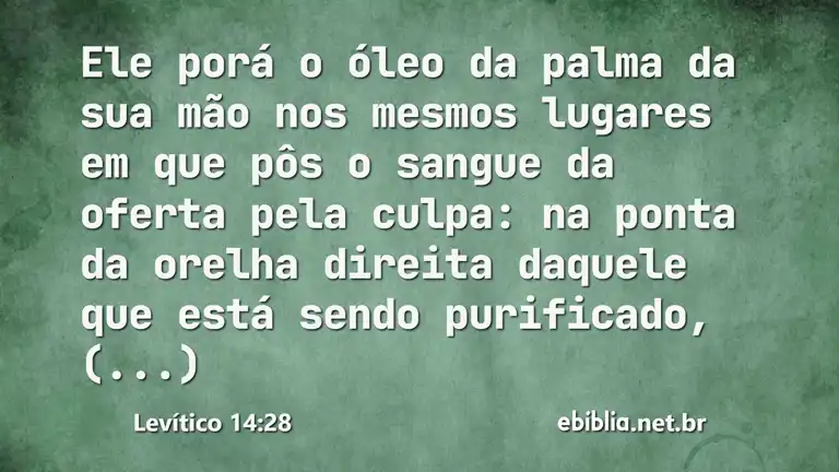 Levítico 14:28